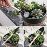 Gardening,Miniature,Transplanting,Succulent,Planting