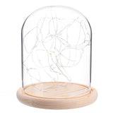 Clear,Glass,Display,Cloche,Wooden,Decorations,Fairy,String,Light