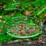 Clear,Aquarium,Glass,Shrimp,Feeding,Feeder,Feeder