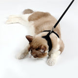 Adjustable,Leash,Harness,Walking,Harness,Apparel