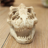 Dragon,Resin,Aquarium,Decoration,Crocodile,Skull,Resin,Ornament