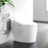 Toilet,Handheld,Bidet,Sprayer,Function,Bidet,Shower,Faucet,Stainless,Steel