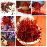 Egrow,Saffron,Seeds,Outdoor,Flower,Bonsai,Saffron,Potted,Plant,Garden,Planting