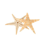 20Pcs,Starfish,Shell,Landscape,Beach,Wedding,Crafts,Making,Decorations