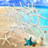 12Pcs,Beautiful,White,Finger,Starfish,Beach,Wedding,Coastal,Decorations