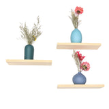 Shelf,Wooden,Plant,Platform,living