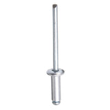 Aluminium,Blind,Rivets,Break,Mandrel,100Pcs