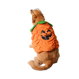 Halloween,Costume,Collar,Pumpkin,Design,Creative,Funny,Clothes,Decorations