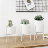 White,Ceramic,Flower,Plant,Succulent,Nordic,Display,Stand,Holder,Hydroponic,Planter,Decor