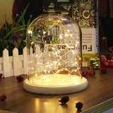 Clear,Glass,Display,Cloche,Wooden,Decorations,Fairy,String,Light