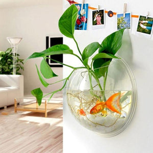 Creative,Hanging,Transparent,Glass,Hydroponic,Living,Decor