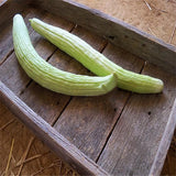 Egrow,Giant,Green,Cucumber,Seeds,Crisp,Sweet,Fruit,Organic,Vegetable