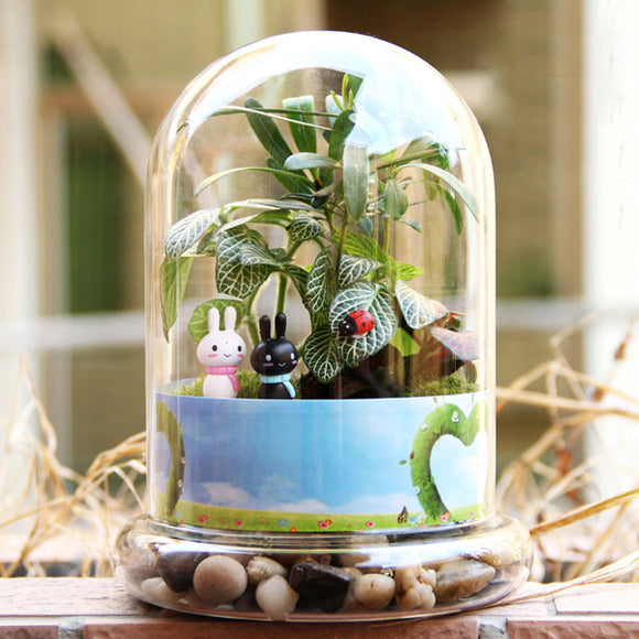 Cylinder,Shaped,Micro,Landscape,Glass,Bottle,Succulent,Plants,Decoration