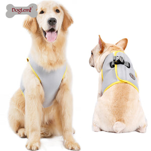 Doglemi,Breathable,Harness,Collars,Puppy