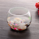 Round,Clear,Glass,Flower,Planter,Terrarium,Decor