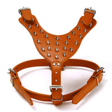 Leather,Harness,Collar,Leash,Spiked,Studded,Staffy,Security