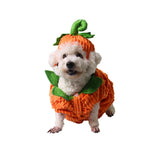 Halloween,Costume,Collar,Pumpkin,Design,Creative,Funny,Clothes,Decorations