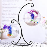 Clear,Glass,Hanging,Aquarium,Office,Desktop,Stand,Decorations