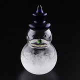 Weather,Forecast,Barometer,Snowman,Shape,Storm,Glass,Bottle,Desktop,Decoration,Ornament