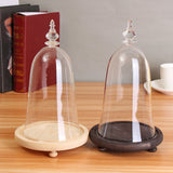 Glass,Display,Cloche,Wooden,Inspired,Beauty,Beast