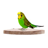 Smooth,Steady,Platform,Stand,Bottom,Plate,Hamster,Parrot,Sparrow,Small