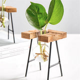 Shape,Glass,Plant,Hydroponic,Container,Flower,Bottle,Table,Decor,Wooden,Shelf,Stand