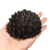 Pinecone,Hidden,Holder,Secret,Stash,Outdoor,Garden