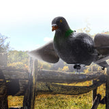 Coated,Flocked,Pigeon,Woodpigeon,Hunting,Shooting,Decoy,Repeller,Outdoor,Hunting,Shooting