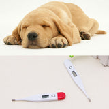 Veterinary,Thermometer,Digital,Thermometer,Puppy,Rabbits,Kittens,Temperature