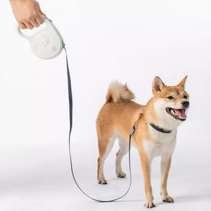 Jordan&Judy,Extendable,Leash,Traction,Adjustable,Puppy,Chain