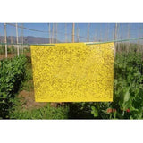 Sticky,Insect,Boards,Whitefly,Fruitfly,Leafminer,Control