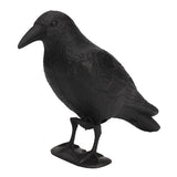 Black,Decoy,Realistic,Pigeon,Deter,Scarer,Scarecrow