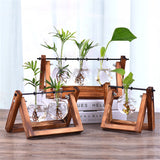 Creative,Hydroponics,Planter,Flower,Wooden,Stand,Glass,Terrarium,Container,Tabletop,Office,Wedding,Decor