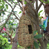 Feeder,Parrot,Parakeet,House,Natural,Outdoor