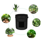 Gallon,Potato,Planting,Planter,Vegetable,Container,Garden,Seedling