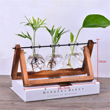 Creative,Hydroponics,Planter,Flower,Wooden,Stand,Glass,Terrarium,Container,Tabletop,Office,Wedding,Decor