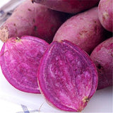 Egrow,Purple,Sweet,Potato,Seeds,Potato,Delicious,Green,Nutrition,Vegetables,Plant,Garden