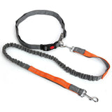 Leash,Traction,Running,Reflective,Elastic,Hands,Solid,Adjust,Collars,Outdoor,Supplies