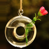 Round,Hanging,Flower,Hydroponic,Plants,Glass,Decor