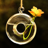 Round,Hanging,Flower,Hydroponic,Plants,Glass,Decor