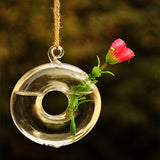 Round,Hanging,Flower,Hydroponic,Plants,Glass,Decor