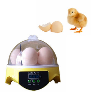 Automatic,Incubator,Incubation,Equipment,Household,Teaching,Experiments