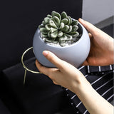 Succulent,Simple,Frame,Flower,Stand,Ceramic,Hydroponic,Flowerpot,Green,Plant