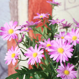 Artificial,Heads,Korean,Small,Daisy,Flowers,Furnishing,Garden,Style,Decorations