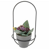 Nordic,Modern,Succulent,Flower,Planter,Shelf,Stand,Garden,Decoration