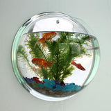 Acrylic,Aquarium,Mounted,Hanging,Plant,Decor