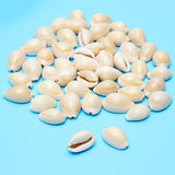 50pcs,Creamy,White,Natural,Shell,Loose,Beads,Accessories,Bracelets,Ornament,Decorations