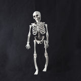 Skeleton,Escape,Haunted,House,Halloween,Skull,Decoration,Hanging,Plastic,Skeletons,Tricky