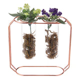 Glass,Flower,Holder,Plant,Container,Metal,Decorations