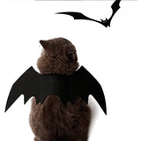 Halloween,Wings,Costume,Black,Puppy,Clothing